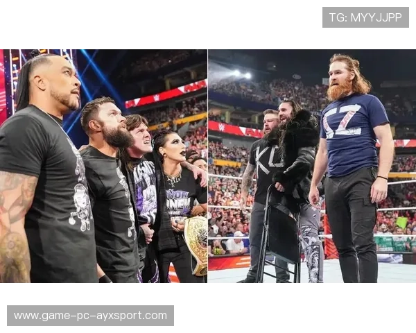 WWE 大赛中选手完成空翻摔技震撼舞台